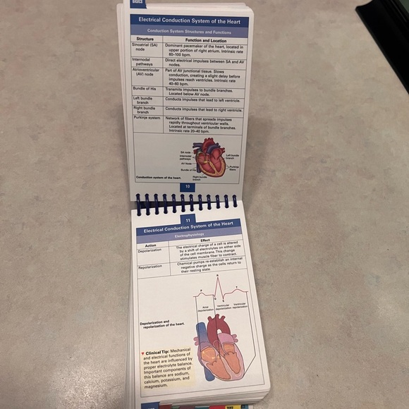 ECG interpretation & management guide. Provides the basics to ACLS - Picture 14 of 16
